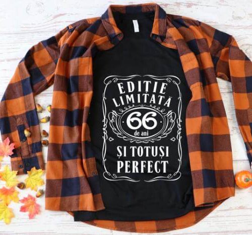Tricou Editie Limitata 66 Ani si Totusi Perfect