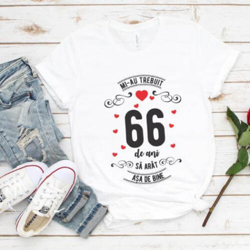 Tricou Mi-au trebuit 66 de ani sa arat asa de bine Model3