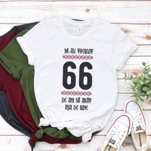 Tricou Mi-au trebuit 66 de ani sa arat asa de bine Model4