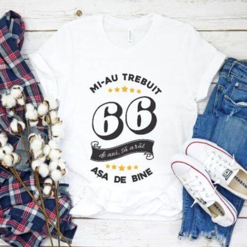 Tricou Mi-au trebuit 66 de ani sa arat asa de bine Model6