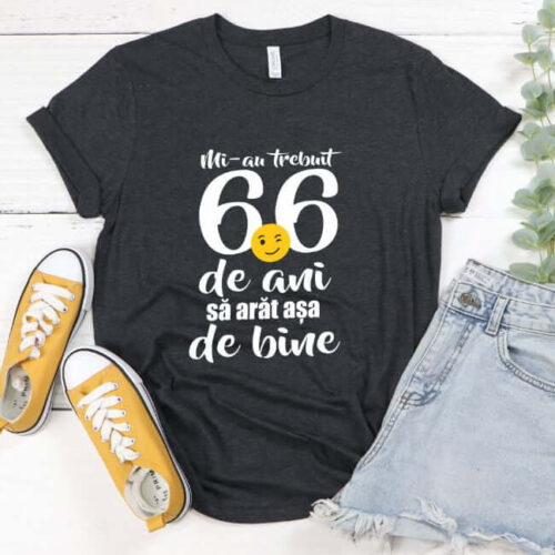 Tricou Mi-au trebuit 66 de ani sa arat atat de bine
