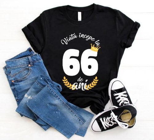 Tricou Viata Incepe La 66 de ani Model2 MODEL2